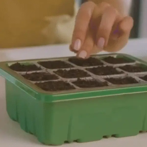 Produktbillede 2